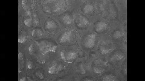 Daniel T W Toolan  Phase separation vs crystalisation