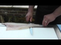 Passionate About Fish - How to skin fish fillets