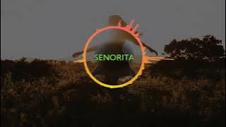 SENORITA - Camila Cabello Shawn Mendes No Copyright