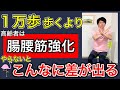 【歩くより最優先】長い距離歩くよりもまず身につけて欲しい腸腰筋の筋トレと生涯歩ける人と歩けない人の決定的な違いの説明