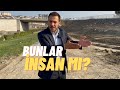 BUNLAR İNSAN MI?