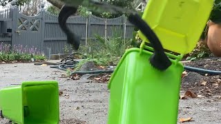 Mini Bin Green Waste Collection