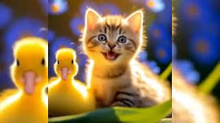About kitties. Summer fun and funny moments of cute mischievous kittens.