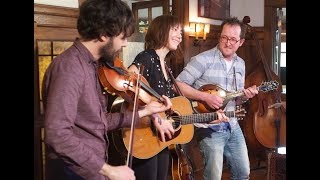 Joe K. Walsh, Molly Tuttle & John Mailander - Never More Will Roam chords