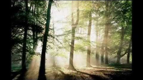 Catholic Song Servant Song by Sr  Donna Marie McGargill OSM