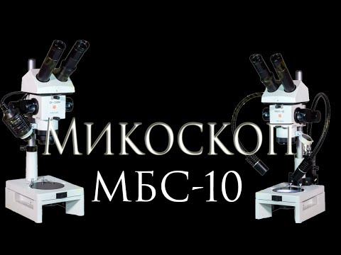 Video: Mikroskop Nima?
