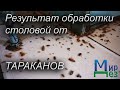 Результат обработки столовой от тараканов. МирДез