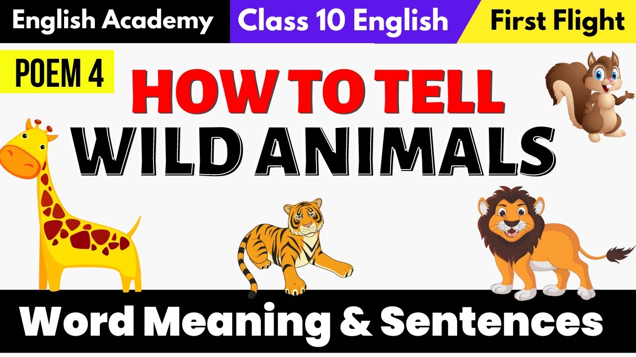 Wild Animals, Definition and Examples - English Grammar Here