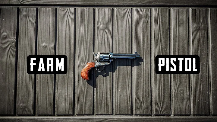 The Best FARM GUN to Keep on Your Hip out on the Homestead!