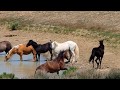 Adventure at Copper Pond Sand Wash Basin