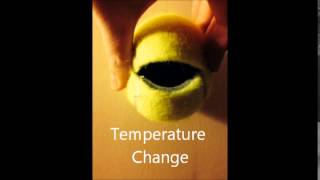 Research Movie rexrodel Shenandoah Valley Governor's School