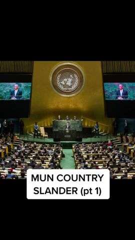 #MUN Country Slander Part 1... #modelun #modelunitednations #tmun #shorts