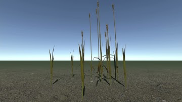 Wheat Test - Unity with TVE, Maya, Substance