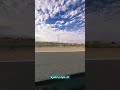 بطير من تاني حمزة نمرة  حمزة نمرة   