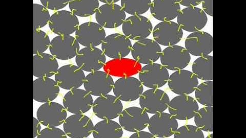 TVG Part 3 Singularity