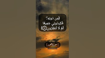 سورة هود الآية ٥٤ الى ٥٦ بصوت الشيخ محمد صديق المنشاوي