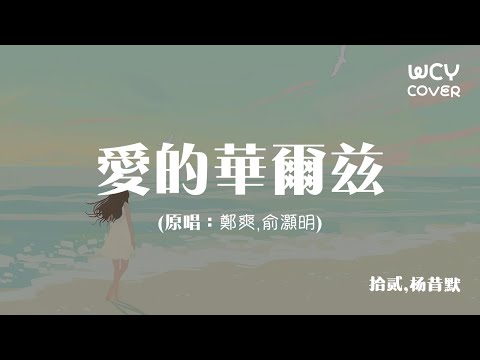 拾貳,楊昔默 - 愛的華爾茲 (原唱：鄭爽,俞灝明)「沒有誰能比你更合我的拍，沒有誰能代替你給我依賴」【動態歌詞/pīn yīn gē cí】