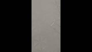 Limperméabilité De Nos Housses De Canapé