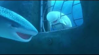 Escenas De Películas Buscando A Dory Escena De Destiny Y Bailey Ayudando A Dory