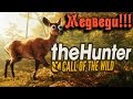 The Hunter Call of the Wild - Охота на медведя
