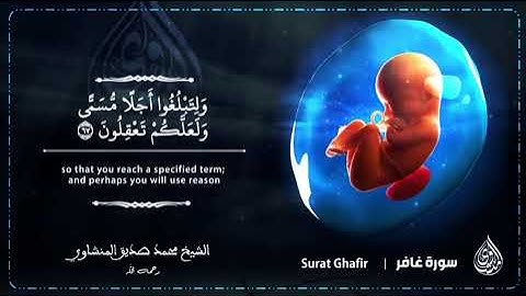 هُوَ الَّذِي خَلَقَكُمْ مِنْ تُرَابٍ ثُمَّ مِنْ نُطْفَةٍ الشيخ محمدصديق المنشاوي وماتيسرمن سورة غافر