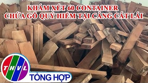 Khám xét 60 container chứa gỗ quý hiếm tại cảng Cát Lái