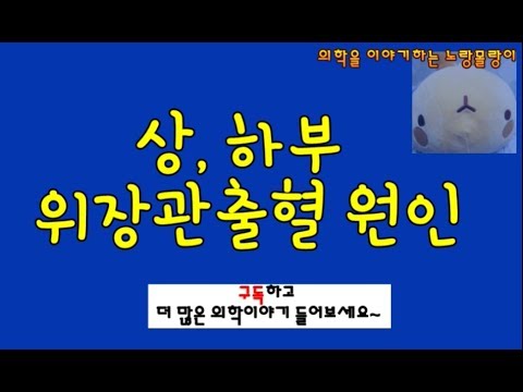 상부, 하부(upper, lower) 위장관출혈(GI bleeding) 원인