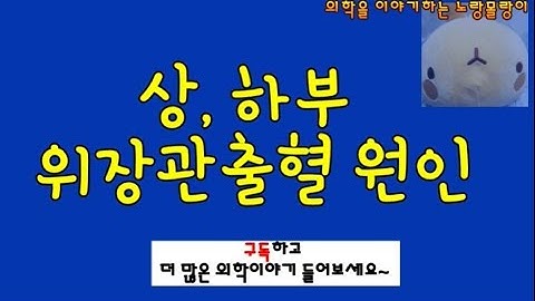 상부, 하부(upper, lower) 위장관출혈(GI bleeding) 원인