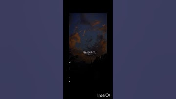 اكتب شيء  تؤجر عليه😴💚/الشيخ ياسر الدوسري|قرآن كريم