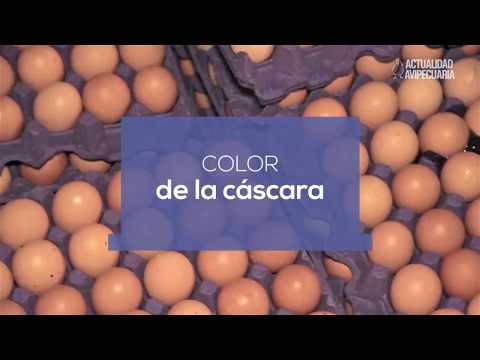 Video: ¿El SOP afecta la calidad del huevo?
