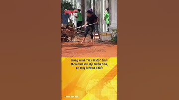 #shorts | Rùng mình “lũ cát đỏ” tràn theo mưa vùi lấp nhiều ô tô, xe máy ở Phan Thiết