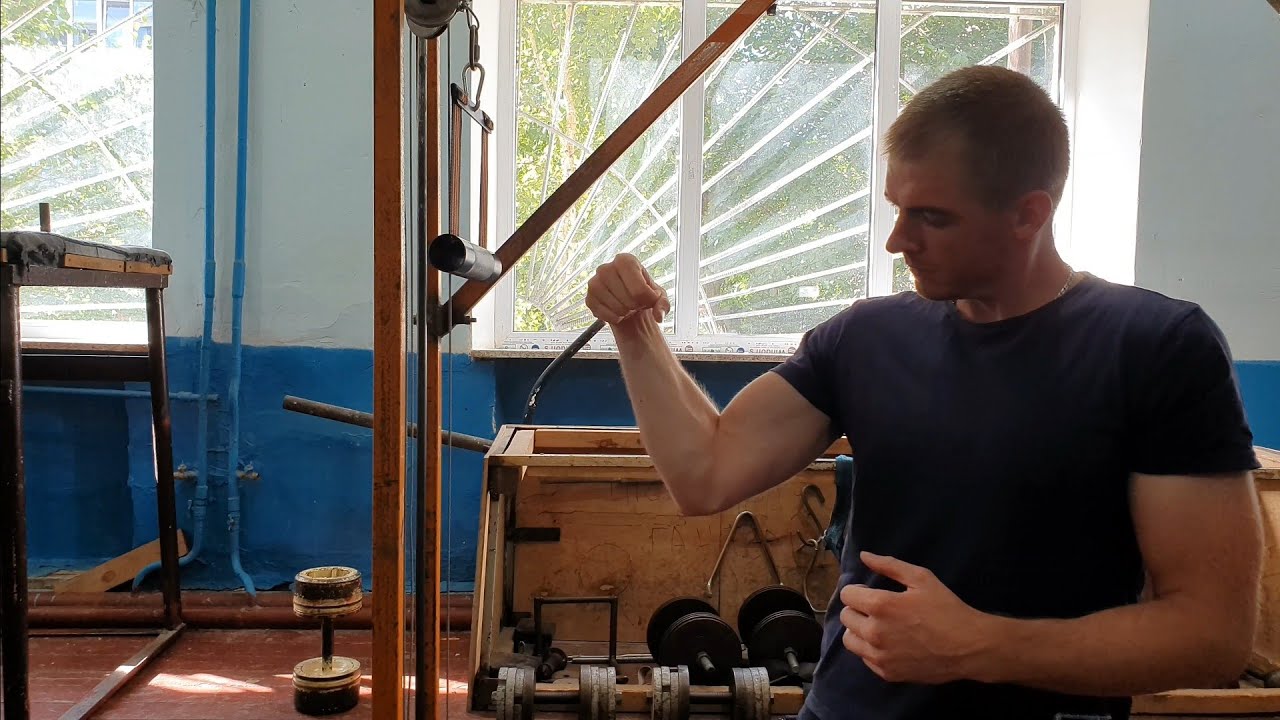 ��������� ������: ����.