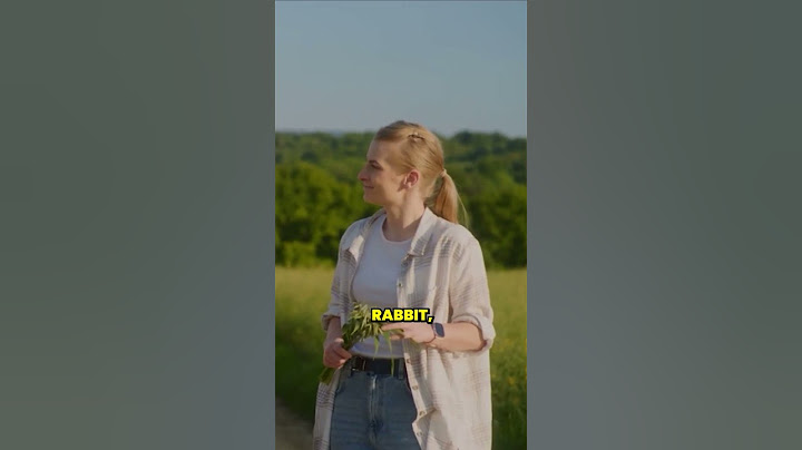 The History of Paella #shorts
