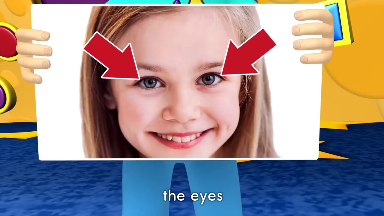 Les parties du visage et du corps en anglais - YouTube