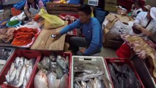 Amazon Freshwater Fish - Piranha - Central Fish Market Lima Peru - Terminal Pesquero - Esl