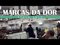 PAULO NETO - MARCAS DA DOR