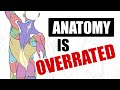 Studying Anatomy For Art? DON’T! Listen To This First
