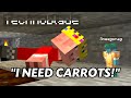 Technoblade Begging For Carrots For 11 Minutes!