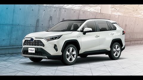 RAV4 2019 openpilot 全速域 車道維持 自動跟車起停 升級改裝  tesla 特斯拉 comma ai openpilot