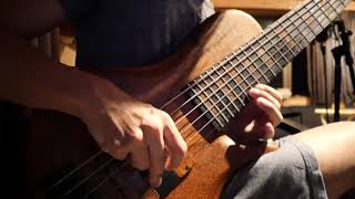 Yusuke Morita - Adamovic King Solomon 6-String Bass
