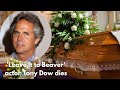Leave It To Beaver star Tony Dow has died | Actor Tony Dow dies at age 77 | Remembering Tony Dow