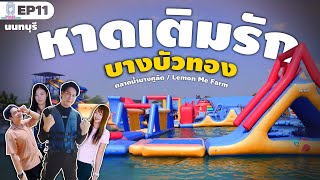 Thailand EP11 Nonthaburi : Hat Term Rak Bang Bua Thong | LemonMe Farm | Bang Khu Lat Floating Market