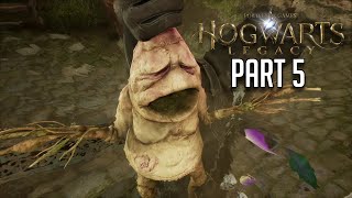 Hogwarts Legacy Story - Herbology & Potions | Wizarding World (Blind Walkthrough Part 5) PC Gameplay