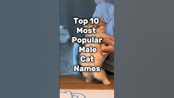 Top 10 most popular male cat names #cat #cats #catlovers