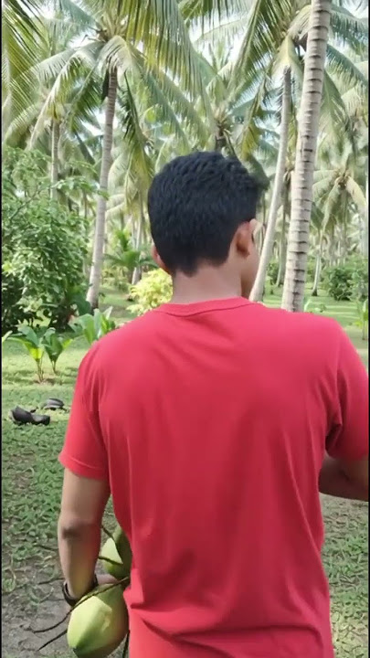 masi alamai dan sejuk #shortvideo