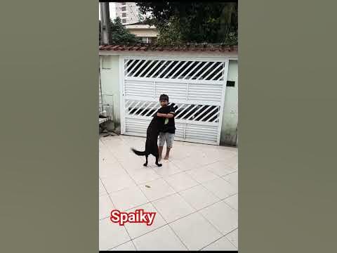 Spaiky - YouTube