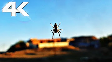 قران كريم بصوت ياسر الدوسري / حالات واتس اب 2021 قران(video 4k