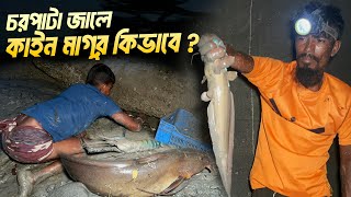 কাইন মাগুর সহ হরেক পদের মাছ পড়েছে গড়াজালে | Adventure BD