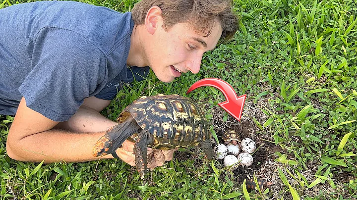 MY ANIMALS GAVE BIRTH !