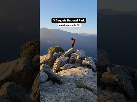 Video: Sequoia milli parkı rezervasiya tələb edirmi?